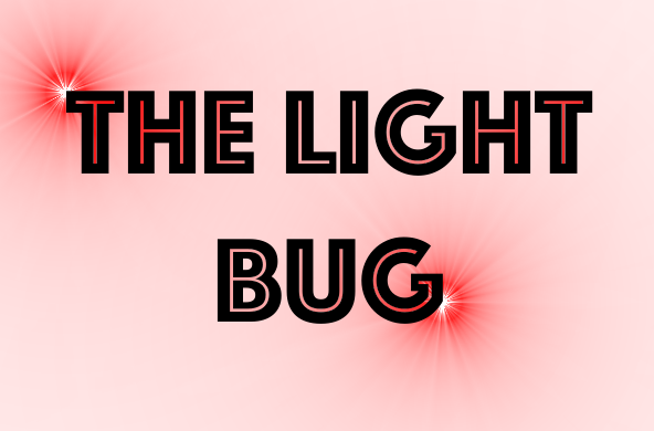 Accédez aux explications du Light Bug